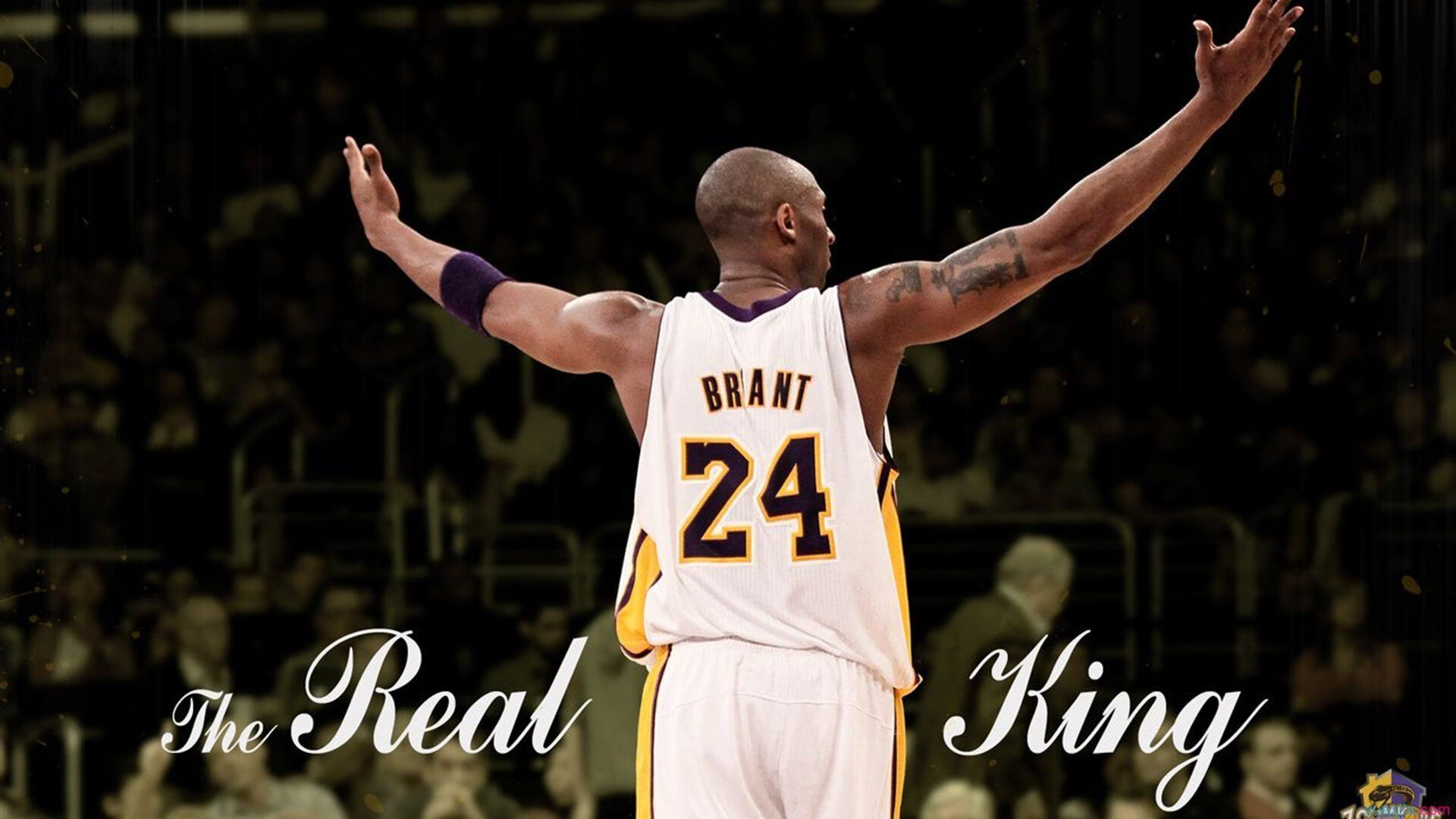 尼克斯防守锁死北京队,锡安成为关键先生